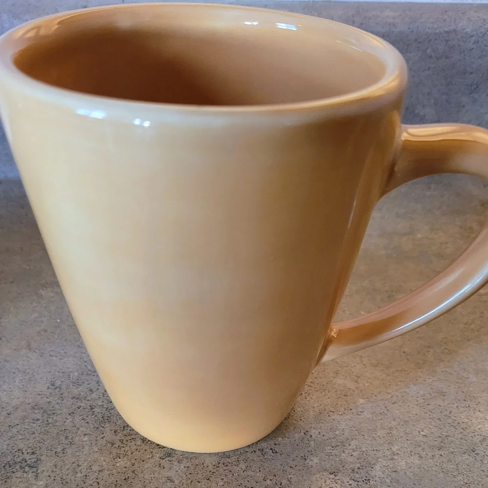 Pottery Barn Amber Mug
